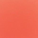 Canvas-Melon_5415-0000