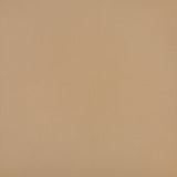 Sunbrella Horizon Capriccio Heather Beige Cushion
