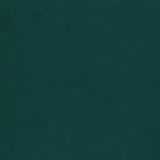 Warwick - Felix Teal