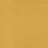 Warwick Lustrell Charisma Mustard faux leather cushion