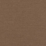 Sunbrella Play Mocha Cushion