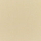Sunbrella - Canvas Antique Beige Cushion
