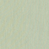 Sunbrella - Canvas Mint Cushion