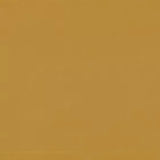 Warwick Lustrell Charisma Sunshine faux leather cushion