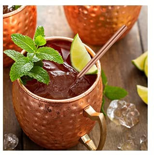 Pure Copper Moscow Mule Mugs & Straw -Gift Set