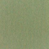 Sunbrella Canvas Fern fabric swatch