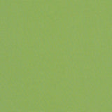 Sunbrella Canvas Ginkgo fabric swatch