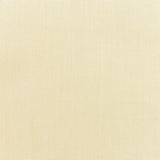 Sunbrella Canvas Vellum fabric swatch