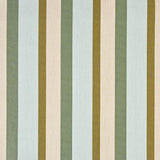 Sunbrella Gateway Aloe fabric swatch