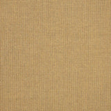 Sunbrella Spectrum Sesame fabric swatch