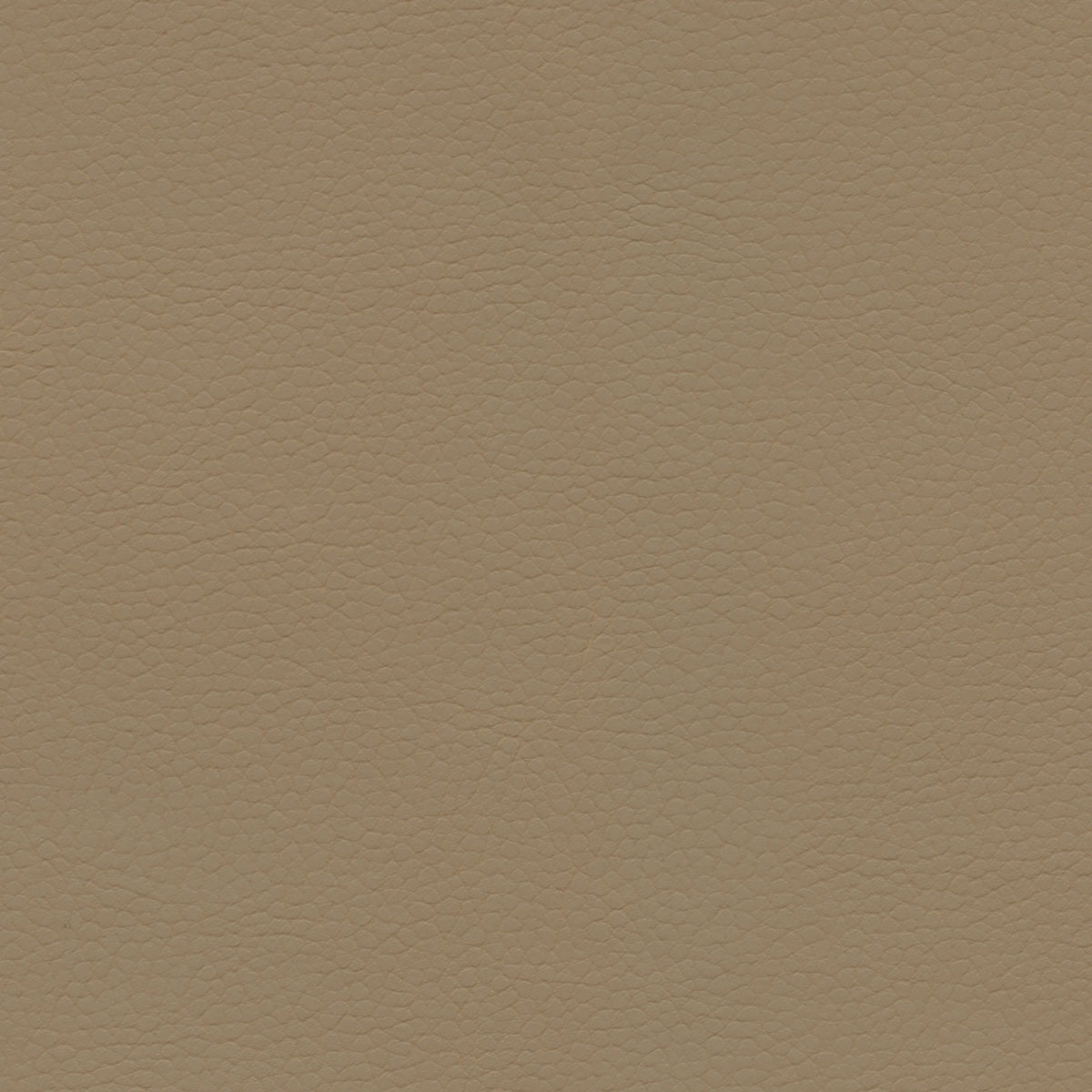 Ultraleather Savanna Cushion