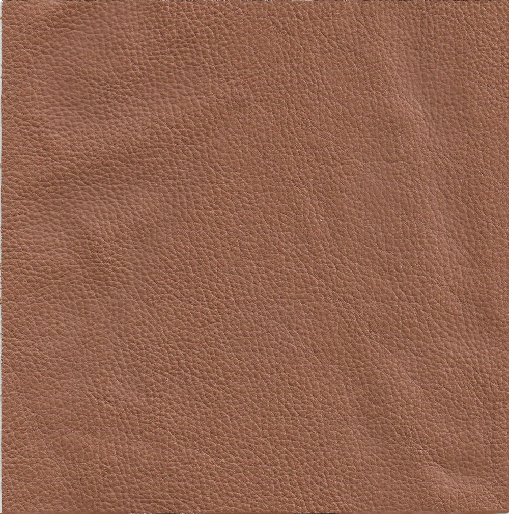 Leather Full Grain Tan Cushion