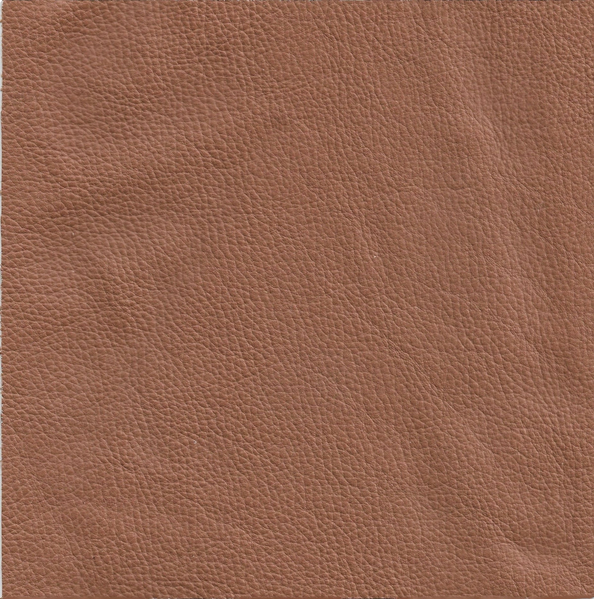 Leather Full Grain Tan Cushion