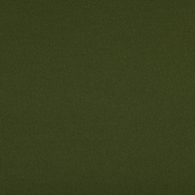 Agora Liso Musgo outdoor curtain fabric swatch