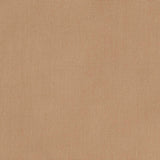 Sunbrella Canvas Raffia fabric swatch