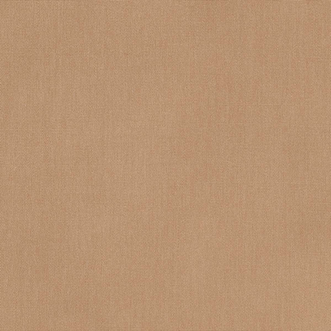 Sunbrella Canvas Raffia fabric swatch