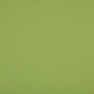 Agora Liso Verde Claro Custom Outdoor Curtains