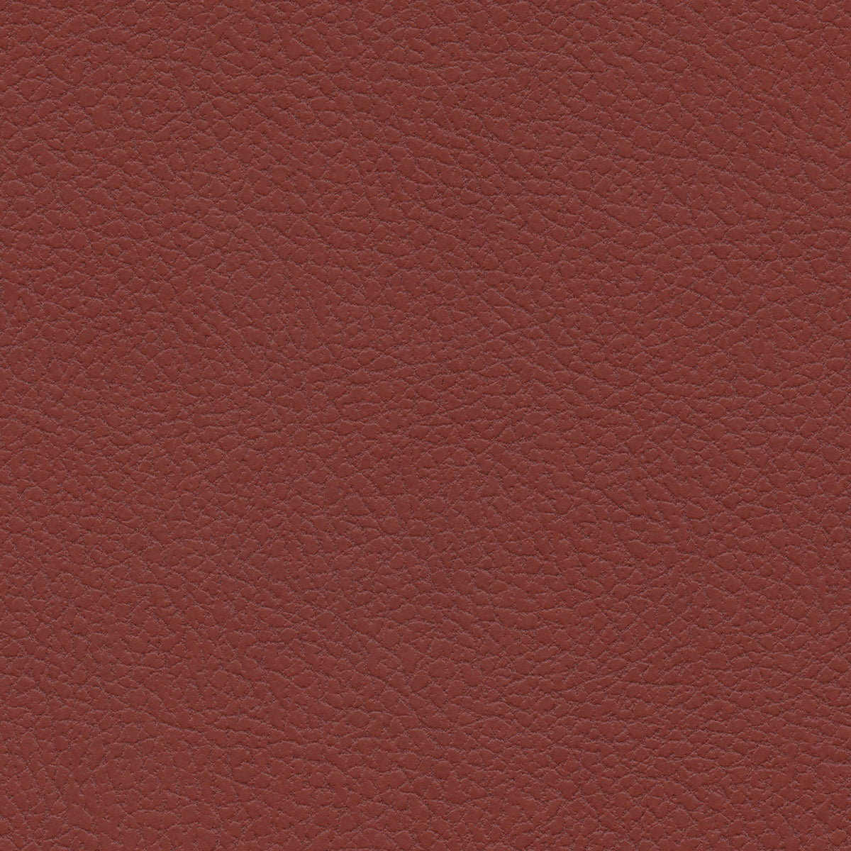 Ultraleather - Burnt Red Cushion