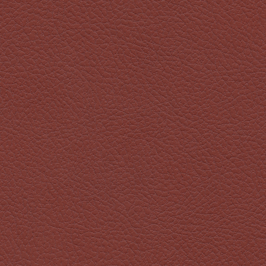 Ultraleather Burnt Red Cushion