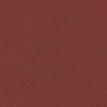 Ultraleather - Burnt Red Cushion