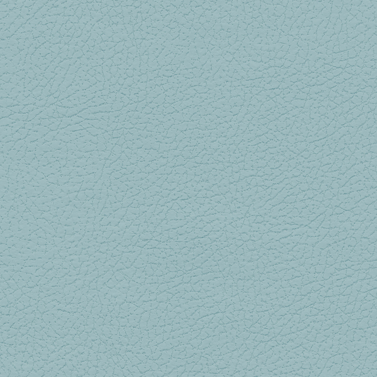 Ultraleather - Glass Cushion