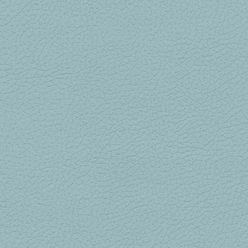 Ultraleather - Glass Cushion