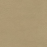 Ultraleather Buckskin Cushion