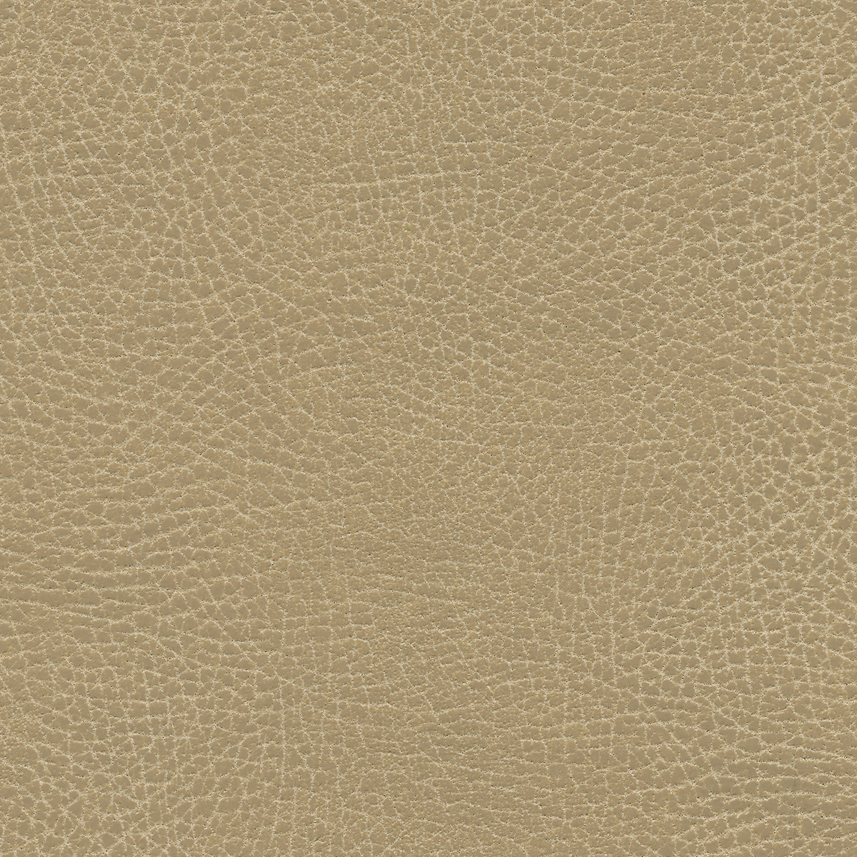 Ultraleather - Buckskin Cushion