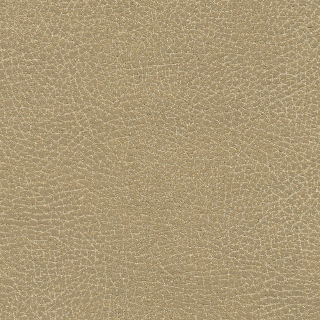 Ultraleather Buckskin Cushion