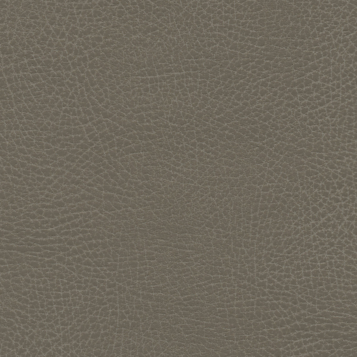 Ultraleather - Greige Cushion