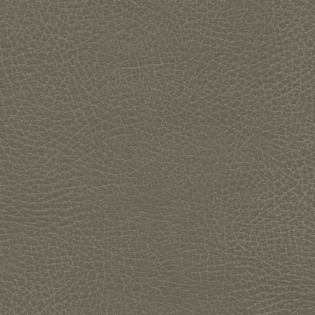 Ultraleather Greige Cushion