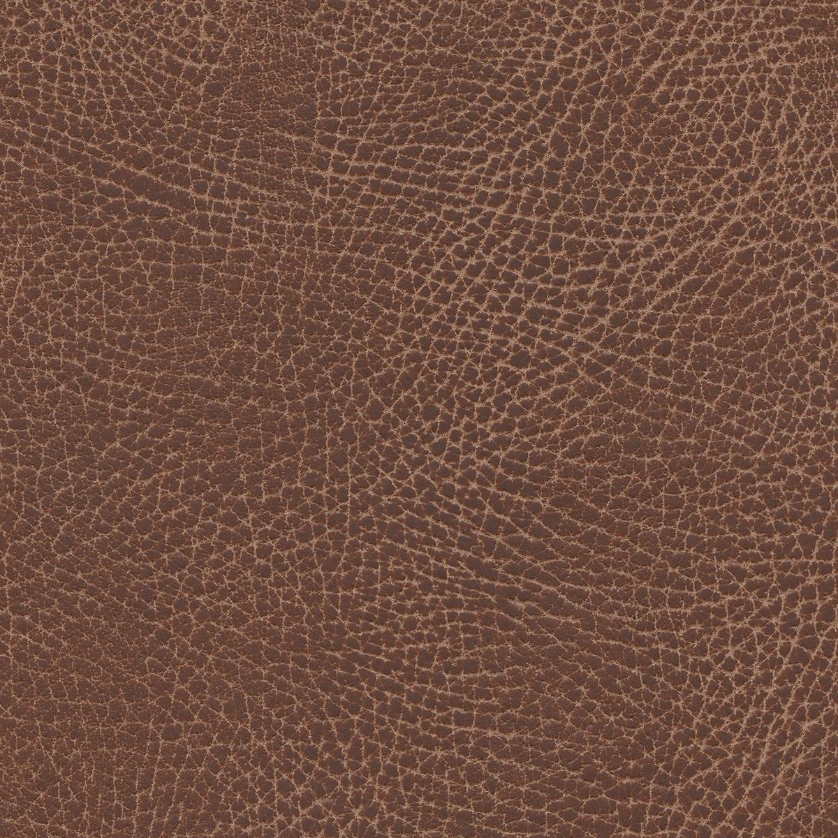 Ultraleather - Lasso Cushion