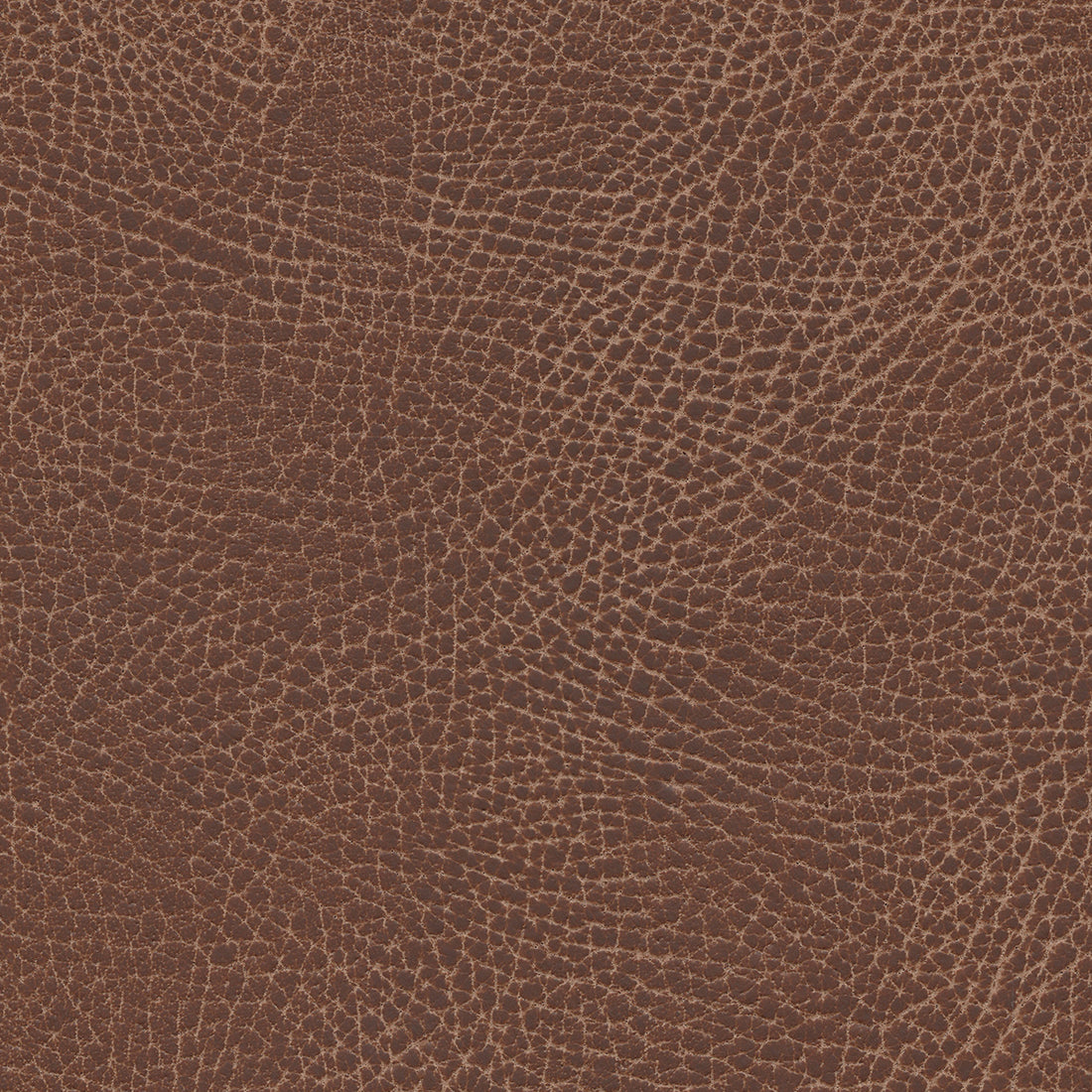 Ultraleather Lasso Cushion