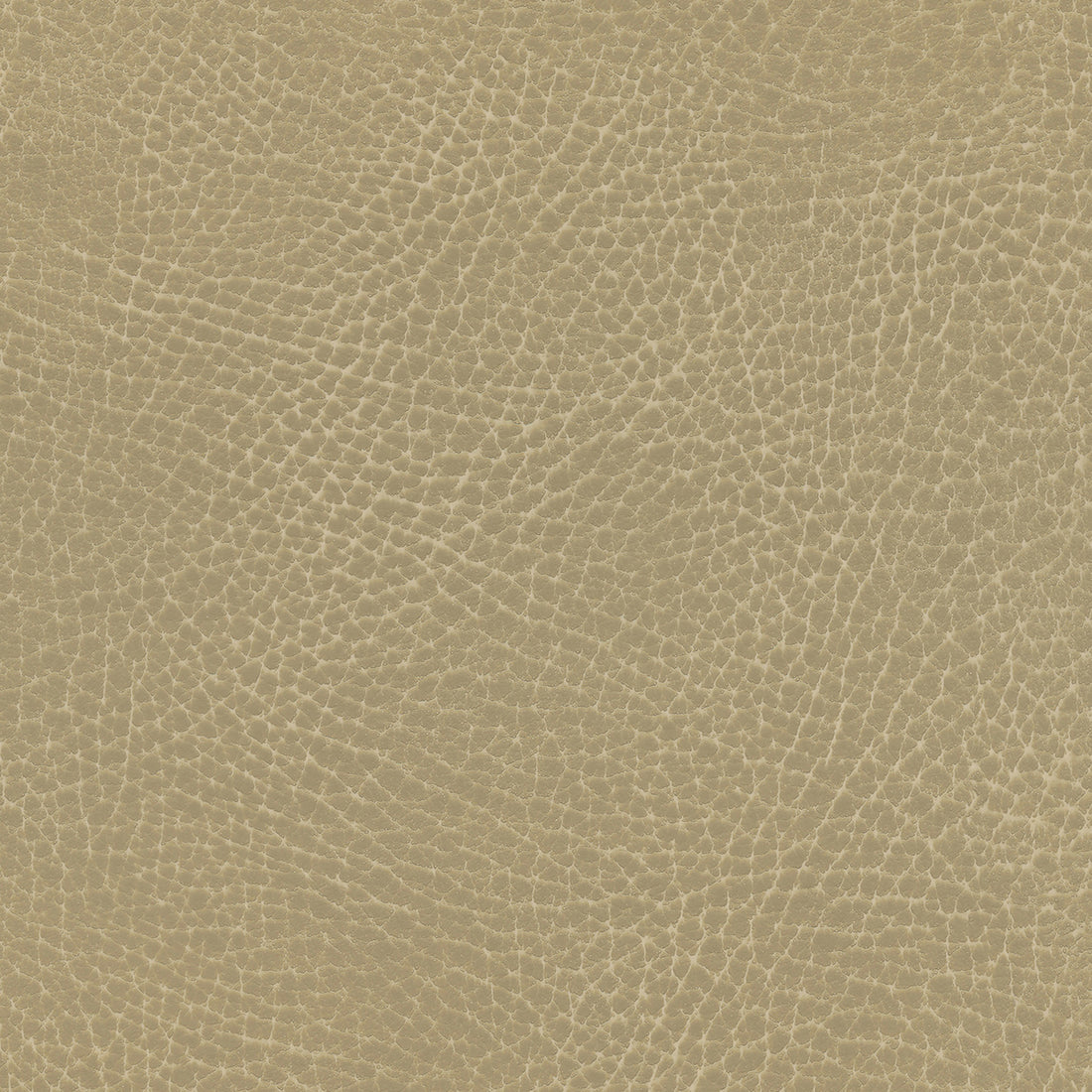 Ultraleather Barro Cushion