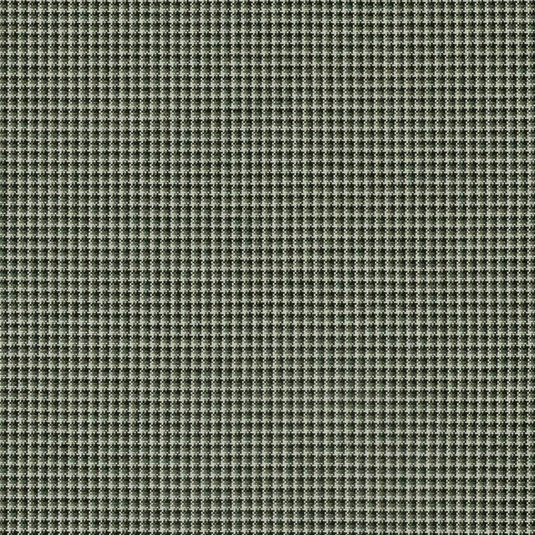 Sunbrella Lore Moss fabric swatch