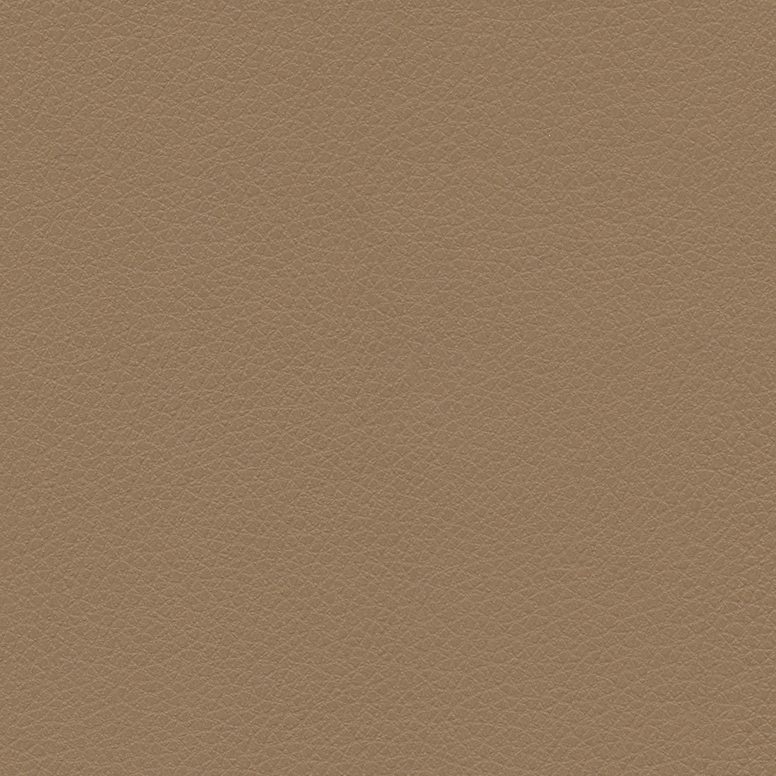 Ultraleather Oar Cushion