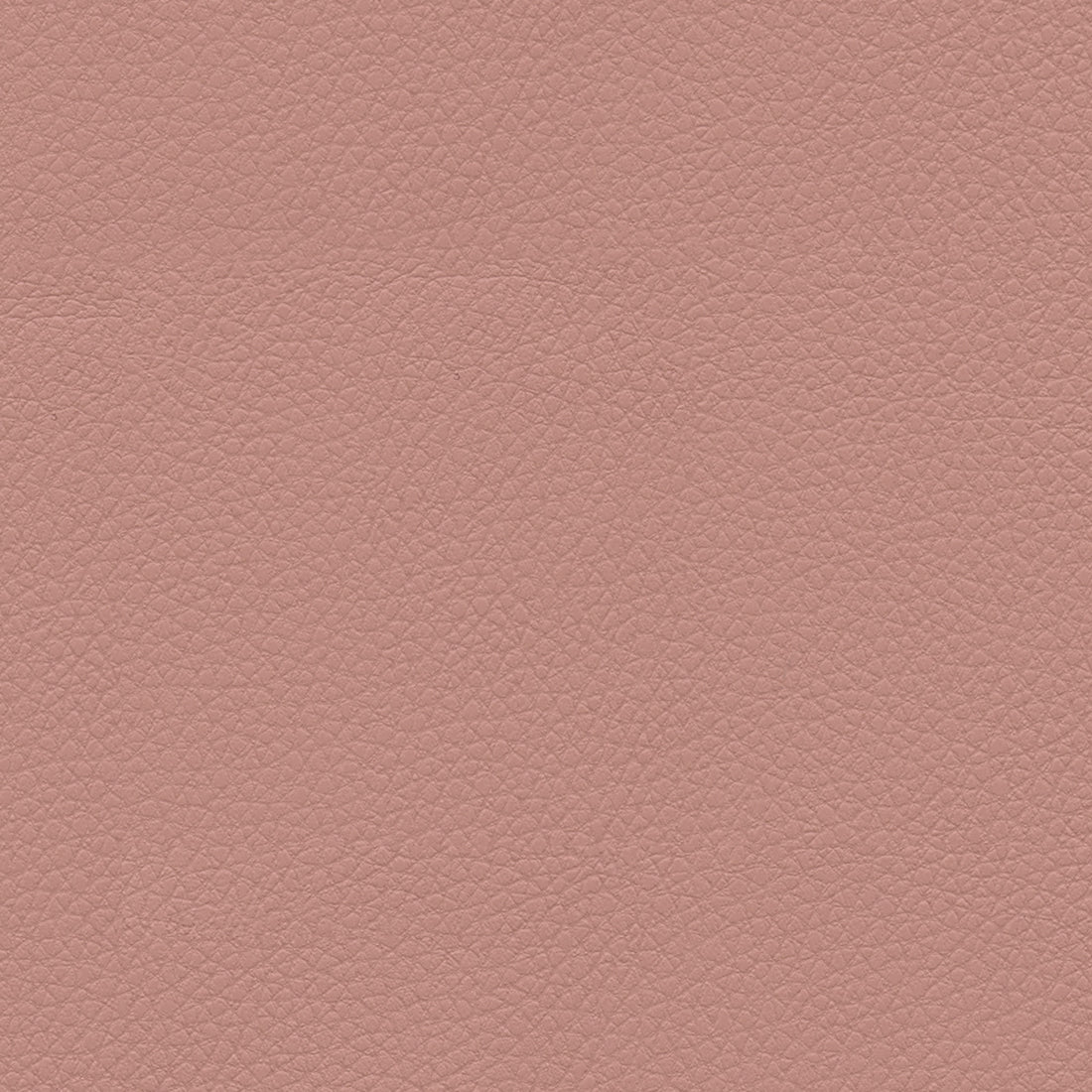 Ultraleather Coral Glow Cushion
