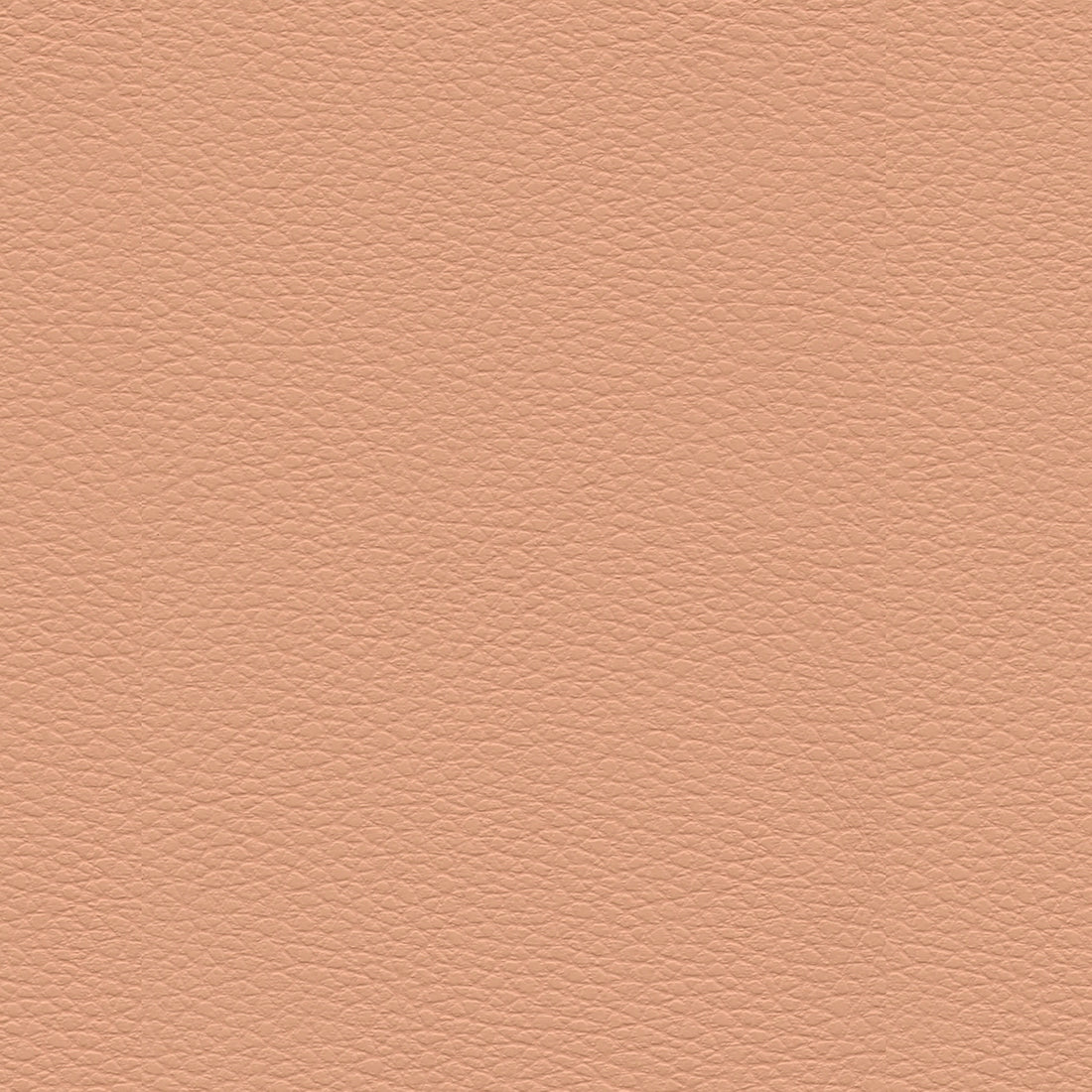 Ultraleather Summer Melon Cushion