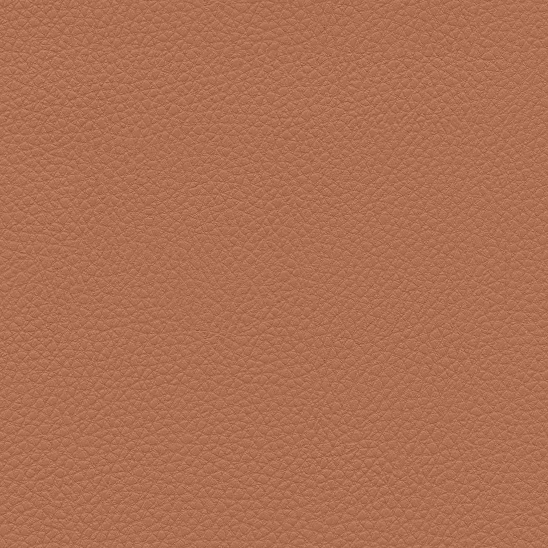 Ultraleather Aztec Clay Cushion