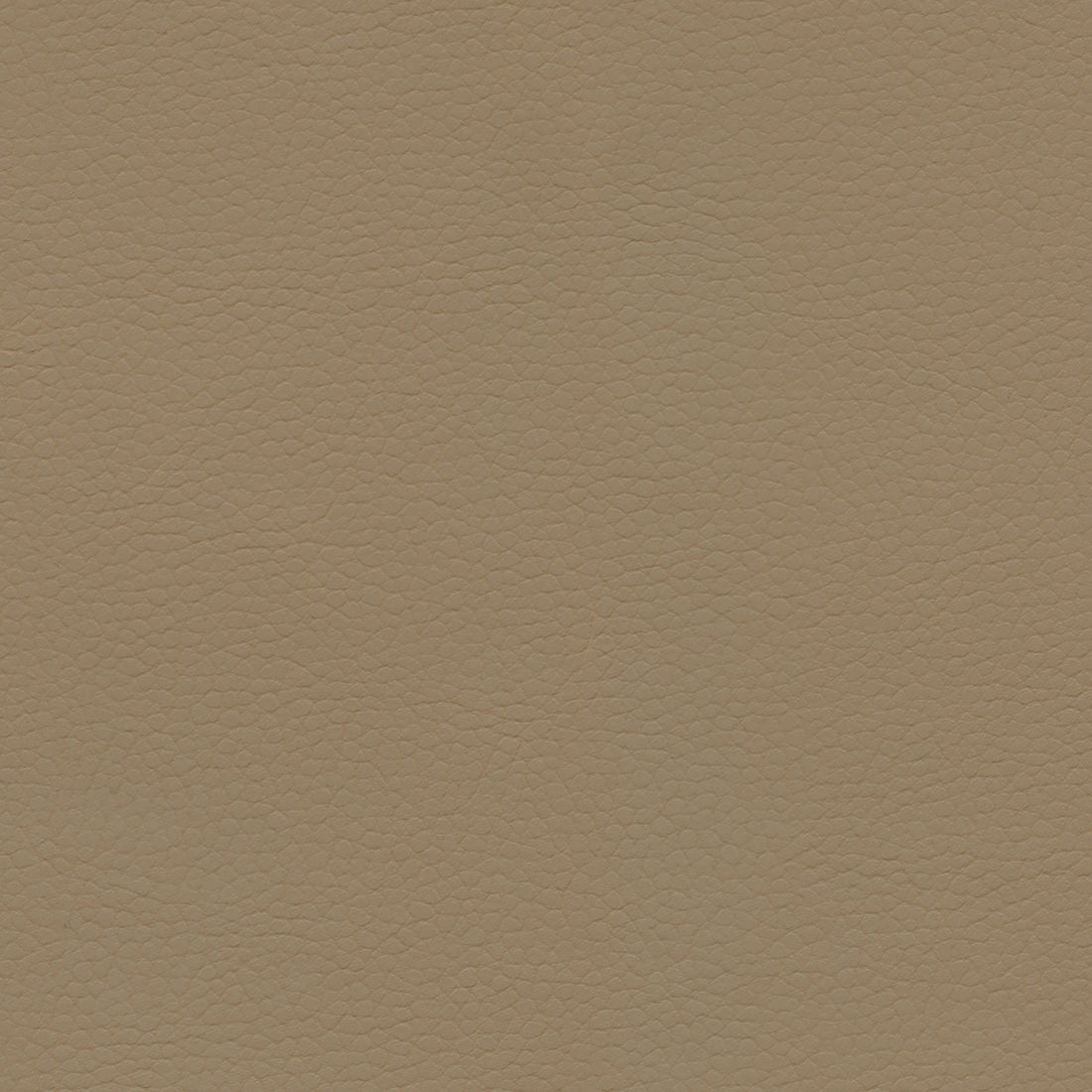 Ultraleather Savanna Cushion