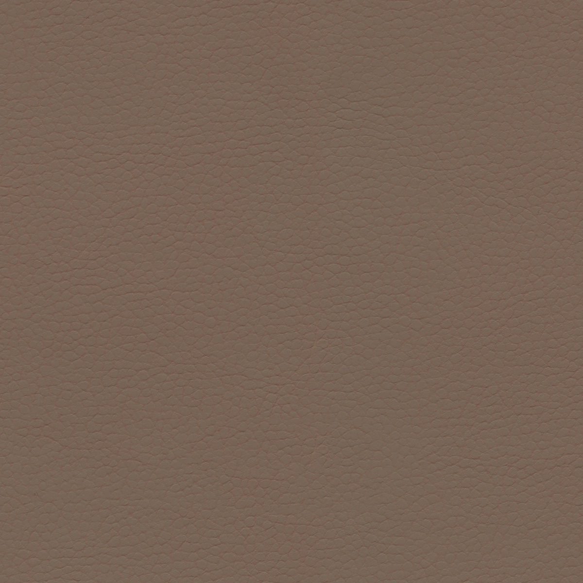 Ultraleather - Dusty Earth Cushion