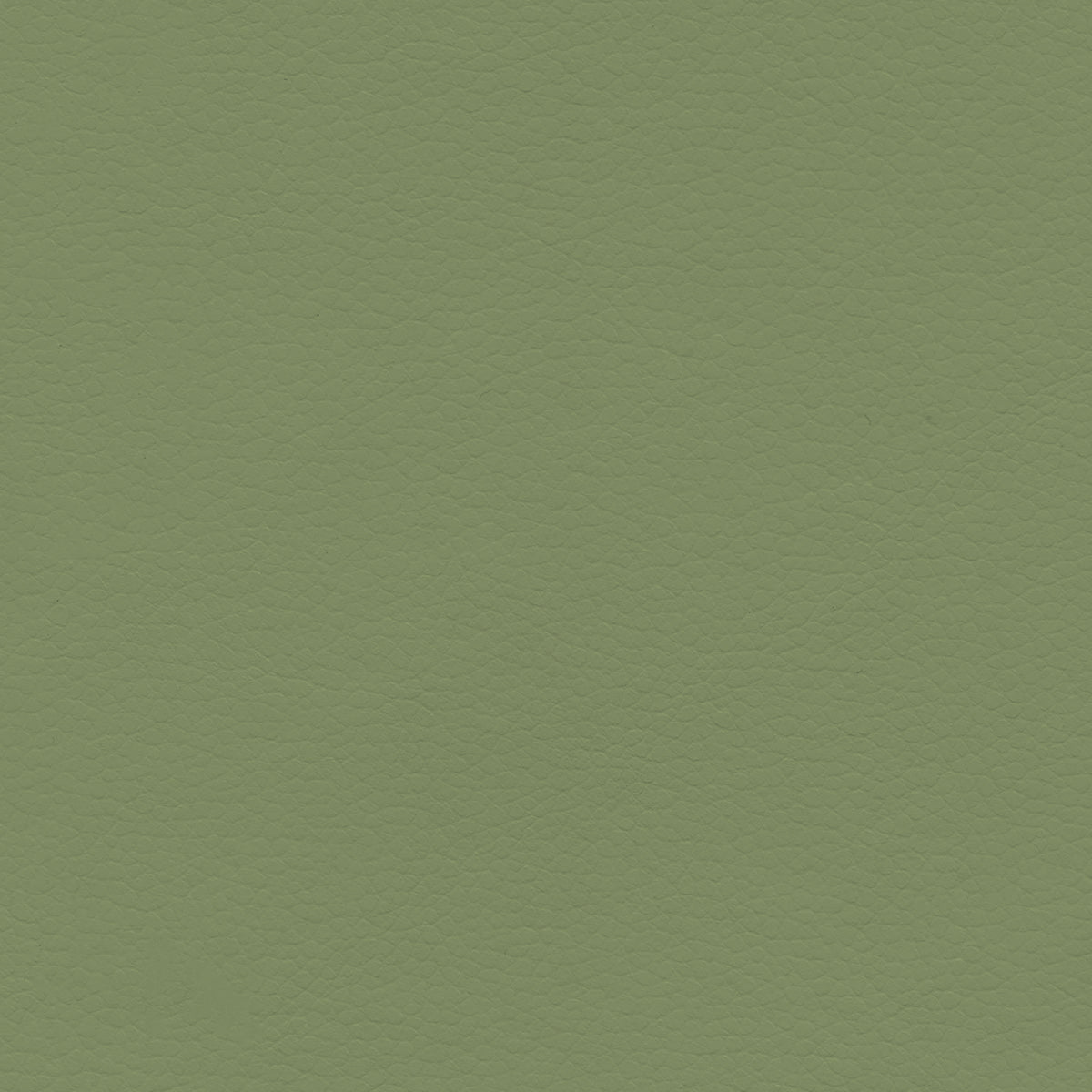 Ultraleather - Stem Green Cushion