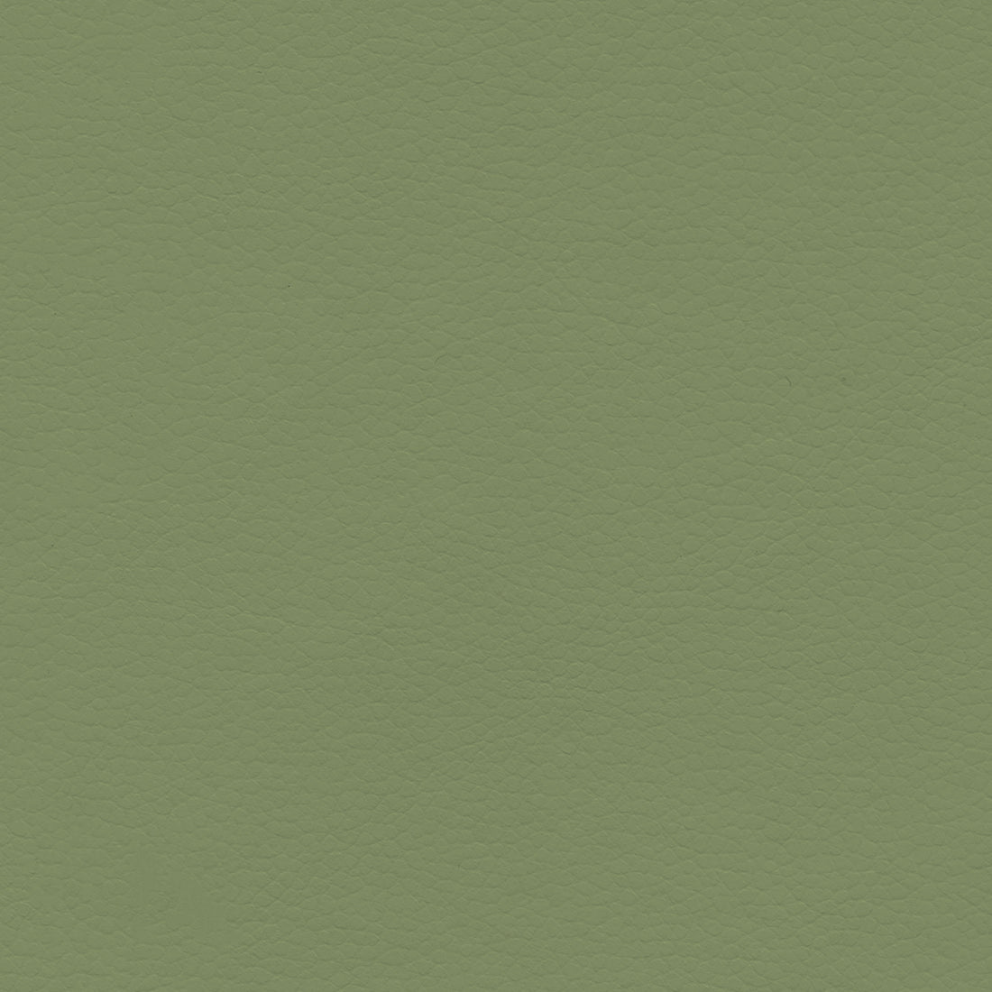 Ultraleather Stem Green Cushion