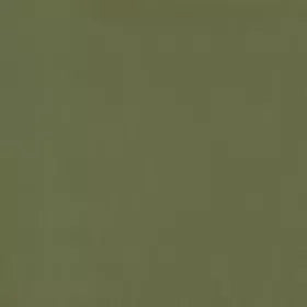 Warwick - Lustrell Charisma Army