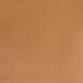 Warwick - Novara Auburn