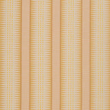 Sunbrella Block Shop Backgammon Honey fabric swatch