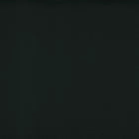 Warwick - Lustrell Charisma Black