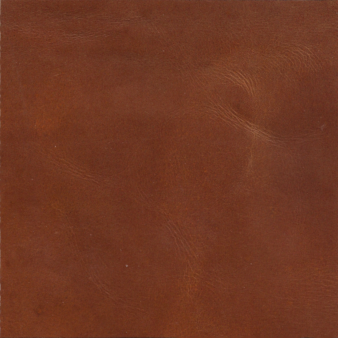 Bright Tan Genuine Leather cushion