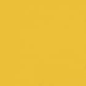 Warwick - Lustrell Aura Bumblebee