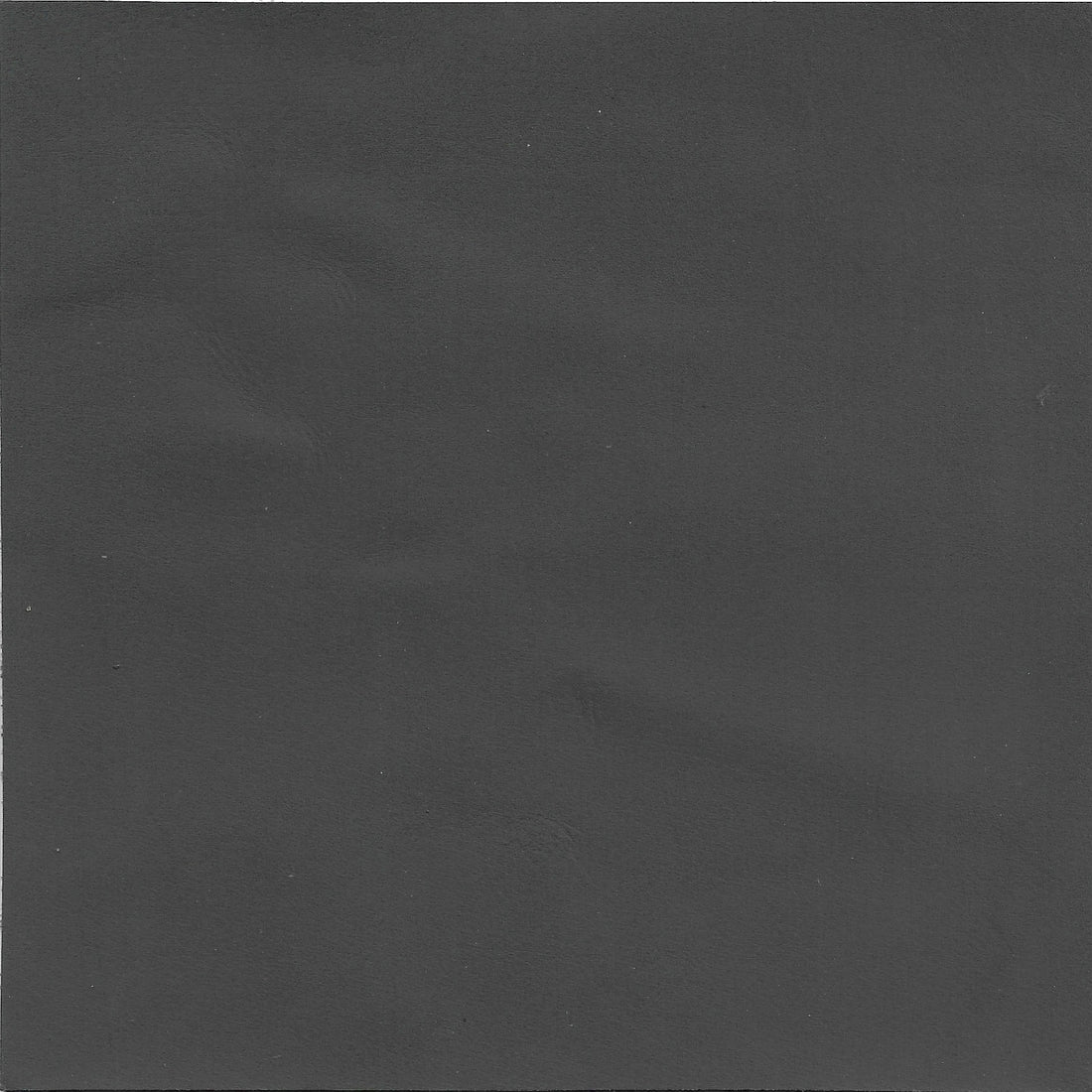 Grey Genuine Leather cushion